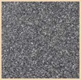 Elita